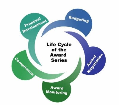 Lifecycle