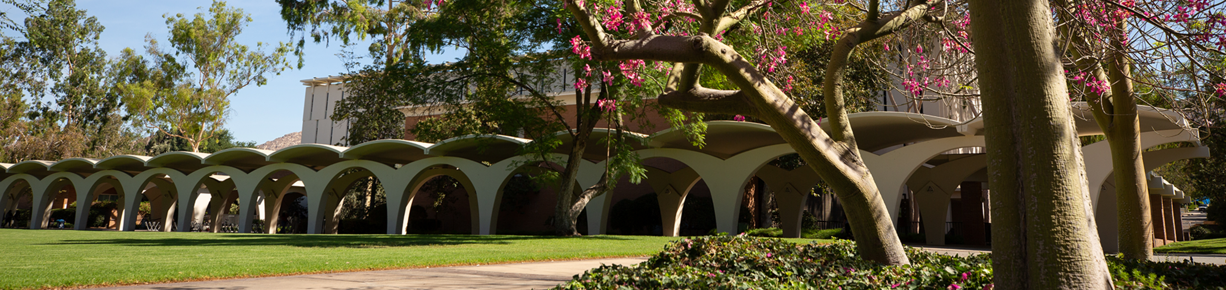 UCR Rivera Arches behind a blossoming tree