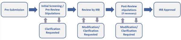 IRB process flowchart