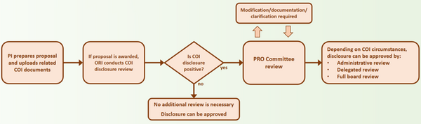 Pro submission and review process flowchart