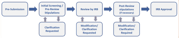 IRB process flowchart