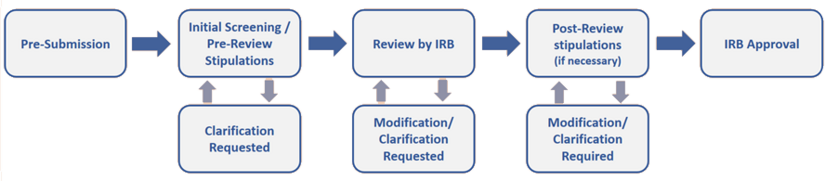 IRB process flowchart